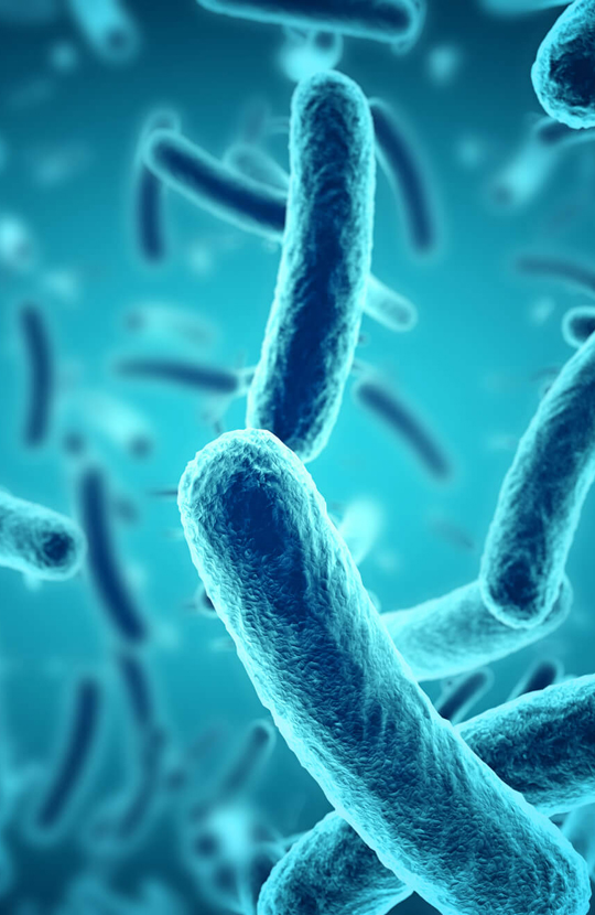 antiseptic antibacterial agent